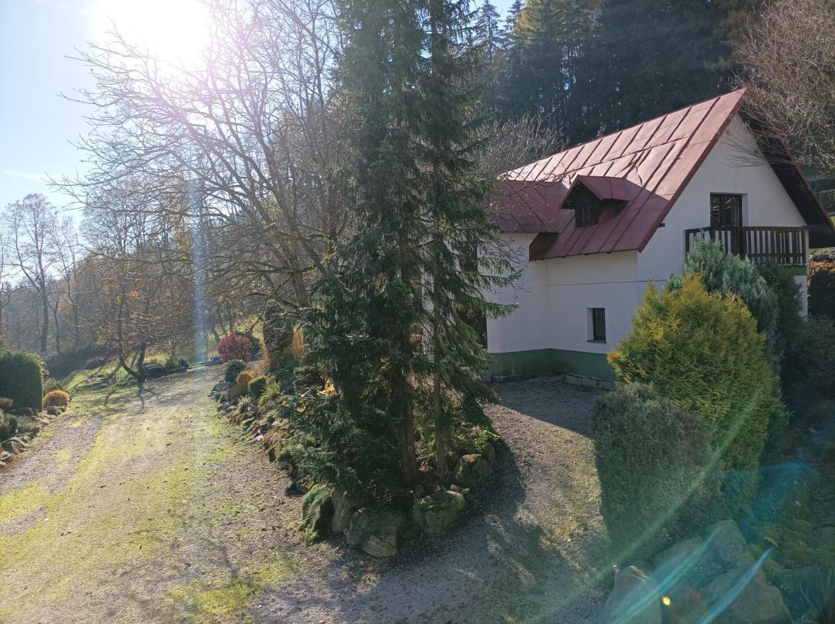 Pension Doro Черни Дул Екстериор снимка